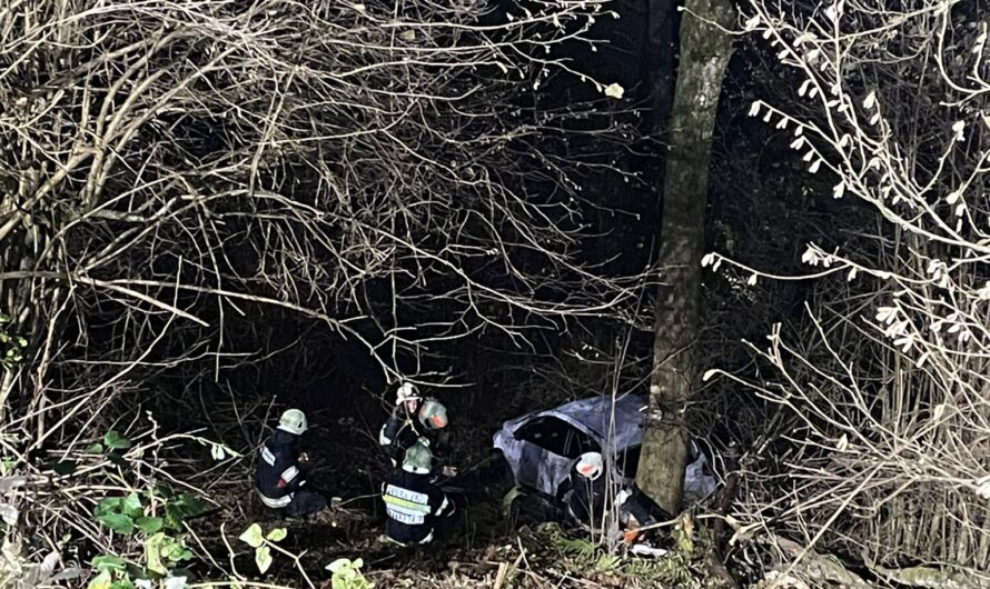 Verkehrsunfall: PKW 40 Meter abgestürzt
